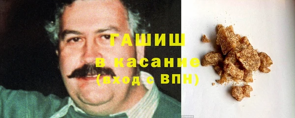 PSILOCYBIN Алзамай