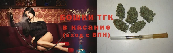 PSILOCYBIN Алзамай