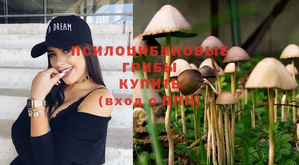 мескалин Алексин